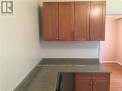 393 Hounslow Avenue, North York 4