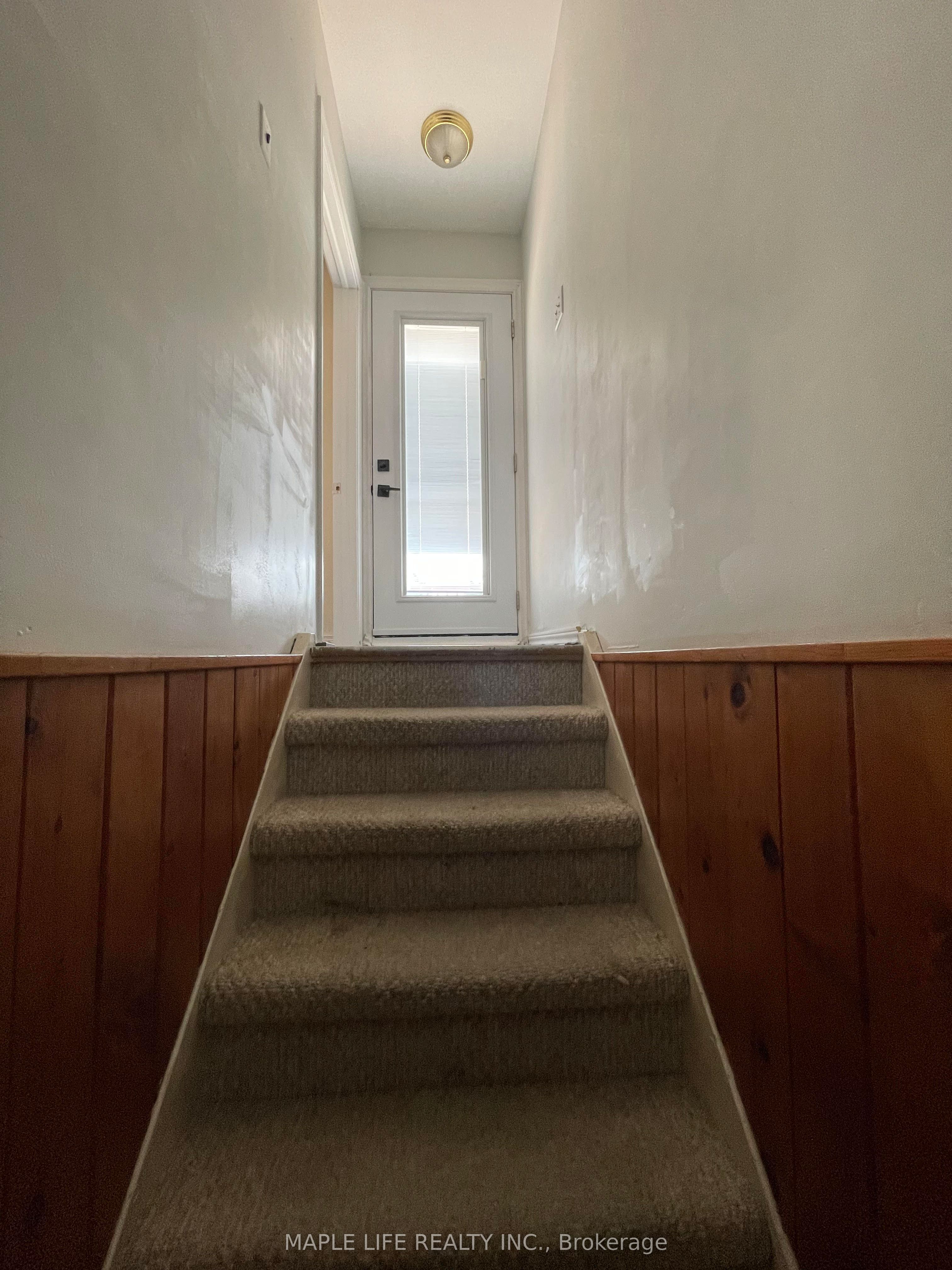 886bsmt Srigley Street, Newmarket 2