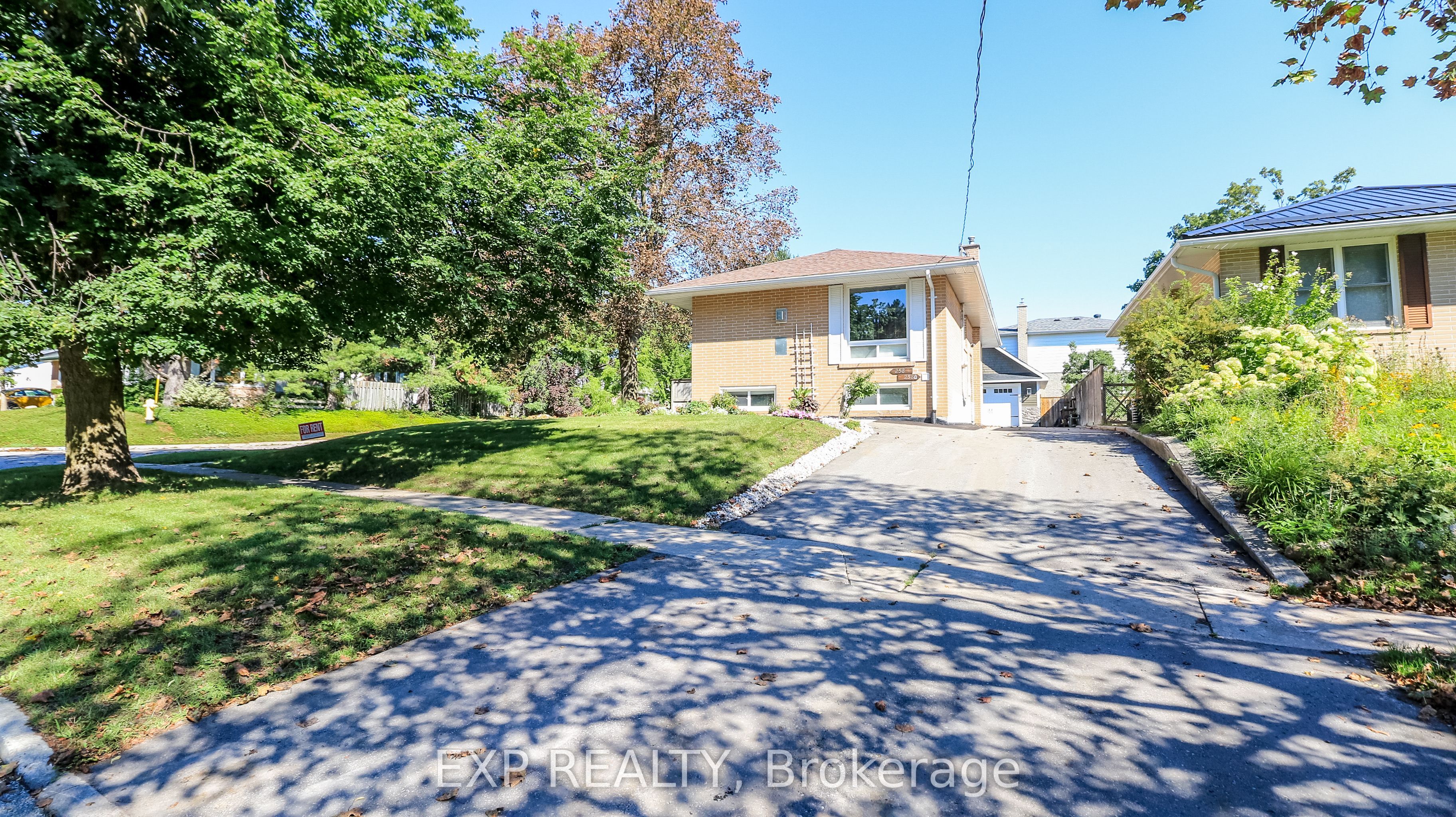Unit Basement - 258 Napier Street, Barrie 3