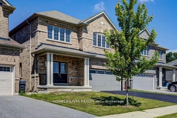 103 Werry Avenue, Southgate 1